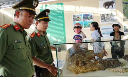 Triển lãm di sản văn hóa biển đảo Việt Nam